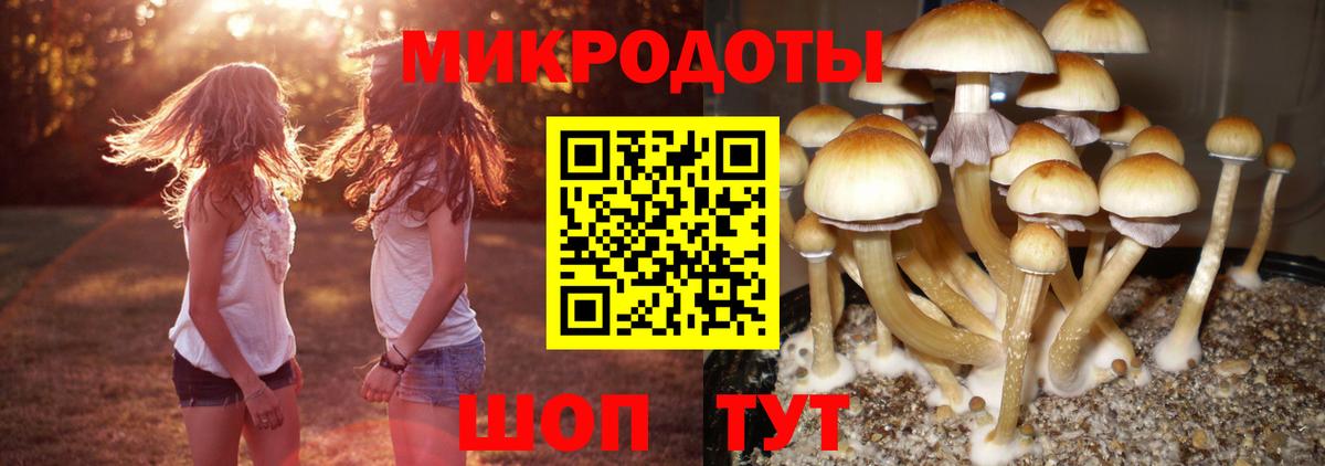 Галлюциногенные грибы мицелий  Вход с VPN  Галлюциногенные грибы мухоморы  Аксай 